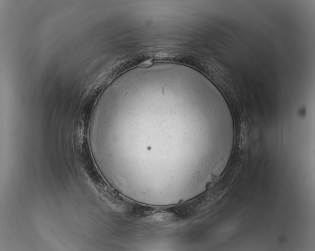 X0000115680210200912031427