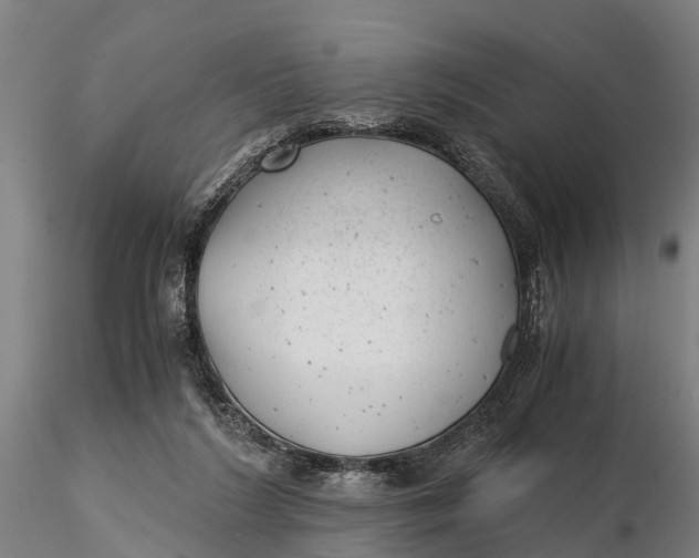 X0000115680212200912031427