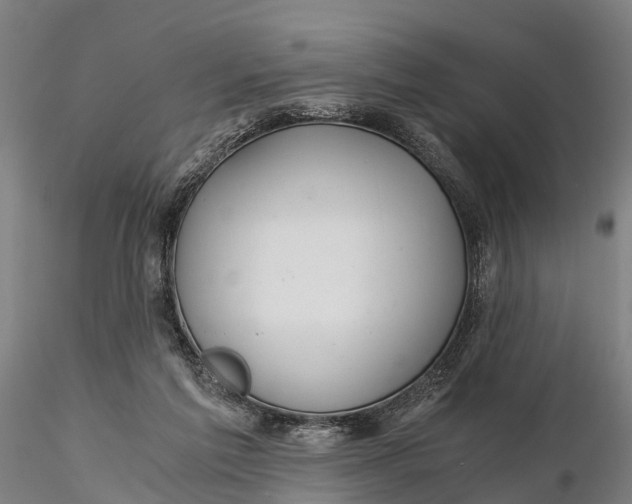 X0000115680213200912031427