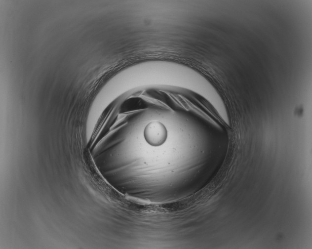 X0000115680215200912031426