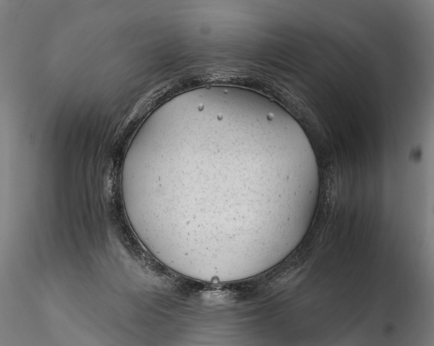 X0000115680216200912031426