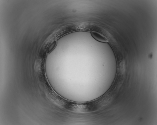 X0000115680217200912031426