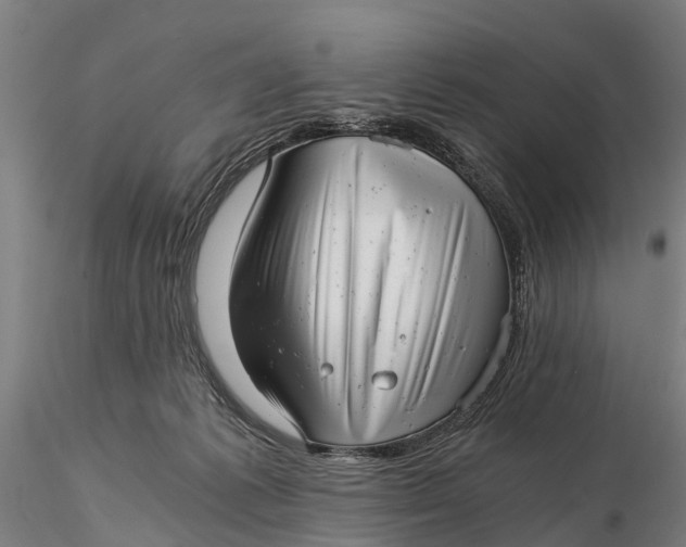 X0000115680221200912031426