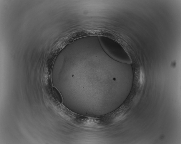 X0000115680223200912031426