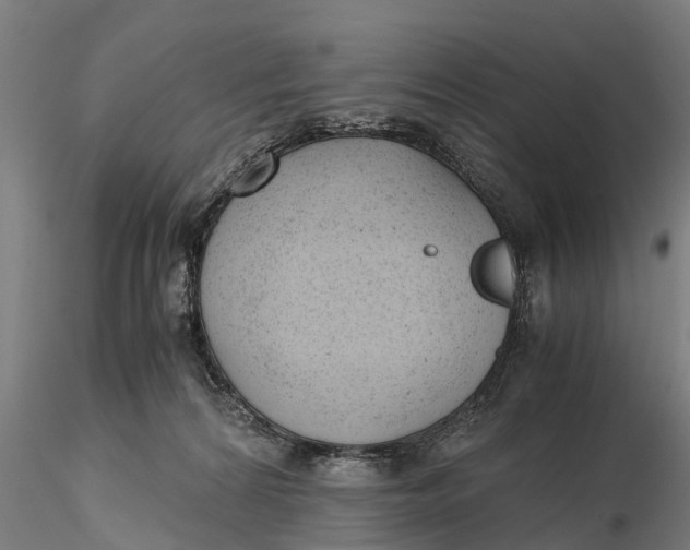 X0000115680224200912031426