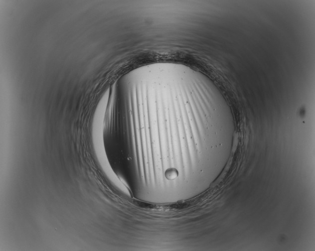 X0000115680225200912031426