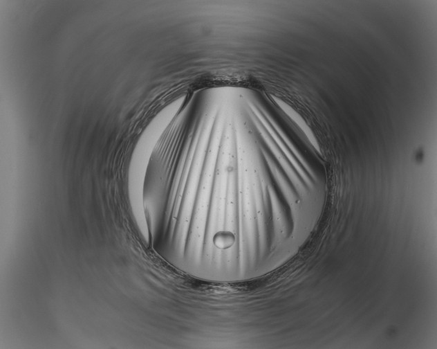 X0000115680229200912031426