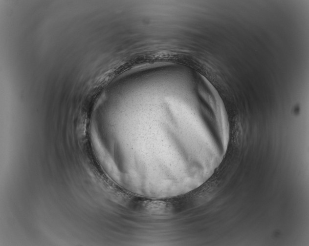 X0000115680230200912031426