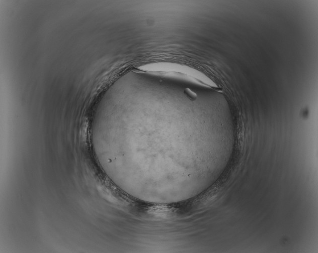 X0000115680231200912031426