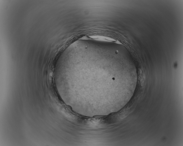 X0000115680235200912031426