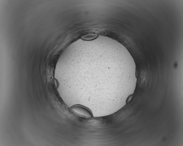 X0000115680236200912031426