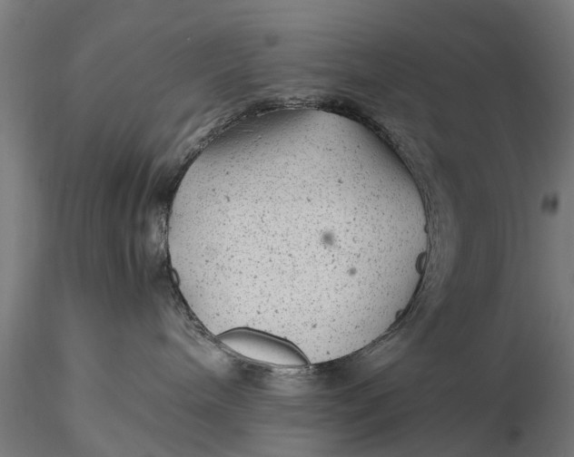 X0000115680240200912031426