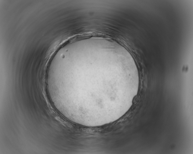 X0000115680241200912031425