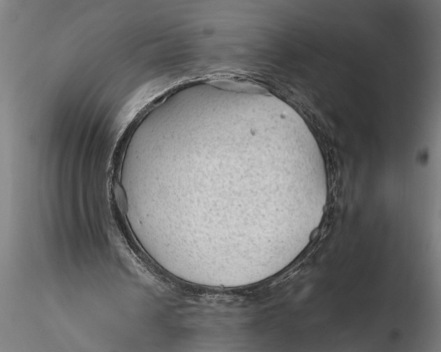 X0000115680242200912031425