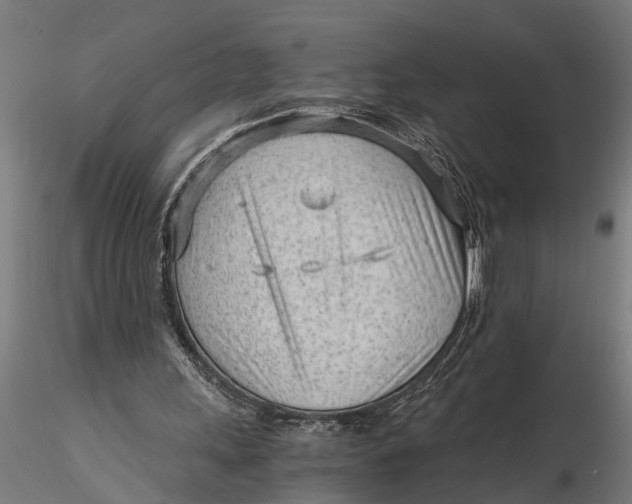 X0000115680243200912031425