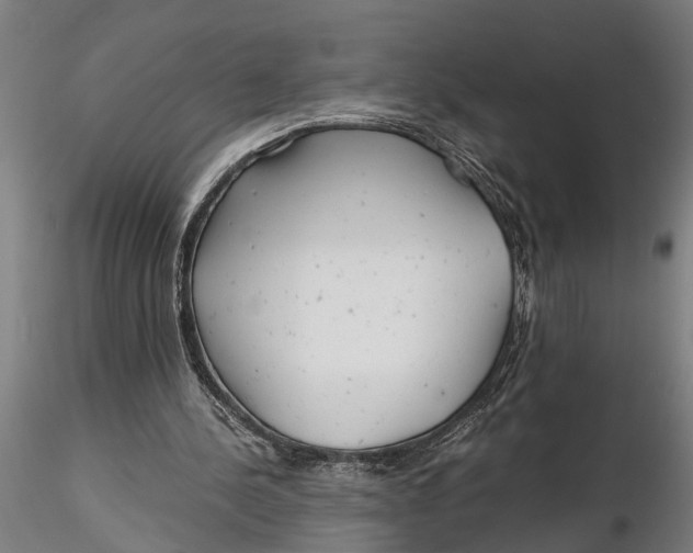 X0000115680244200912031425