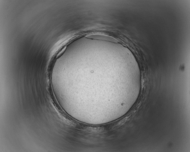 X0000115680245200912031425