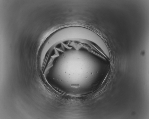 X0000115680248200912031426