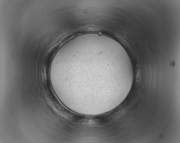 X0000115680254200912031426