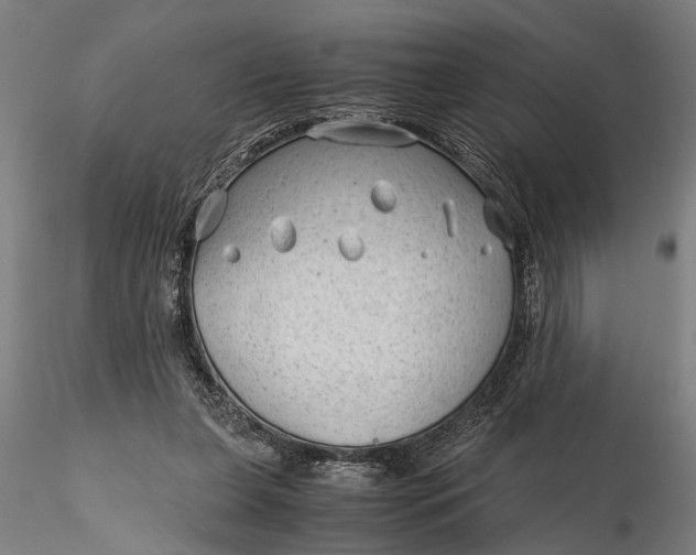 X0000115680255200912031426