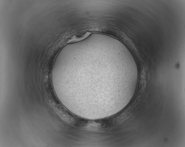 X0000115680257200912031426