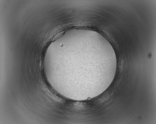 X0000115680261200912031426