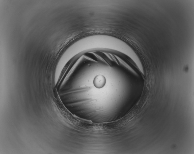 X0000115680264200912031426