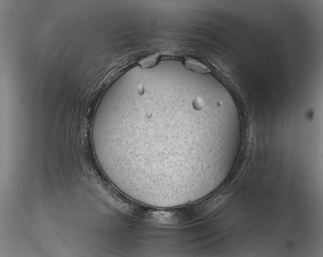 X0000115680265200912031426