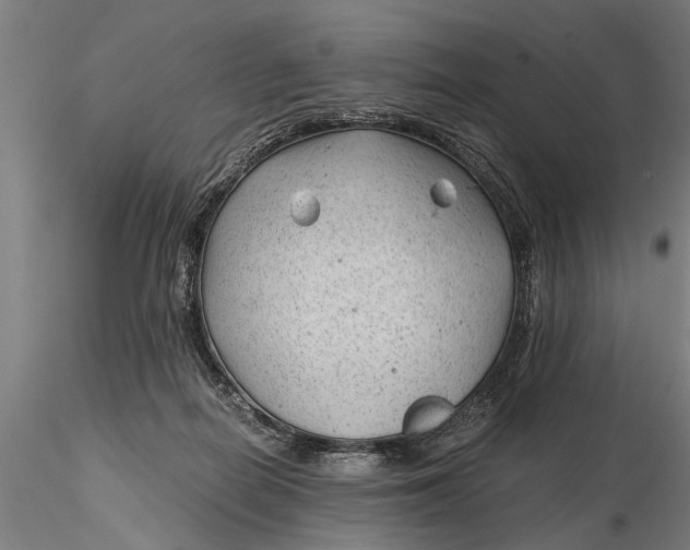 X0000115680266200912031426