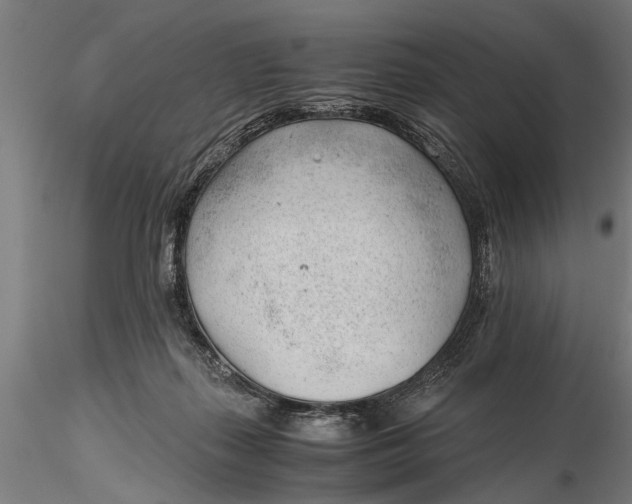 X0000115680267200912031426