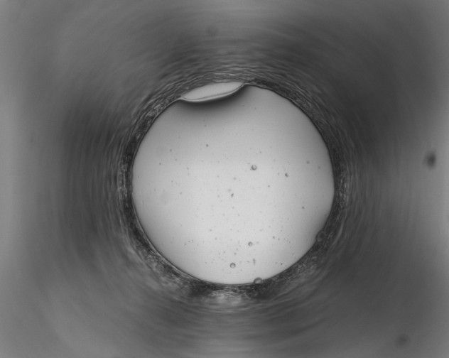 X0000115680272200912031426