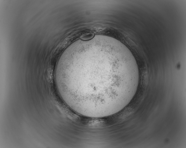 X0000115680274200912031426