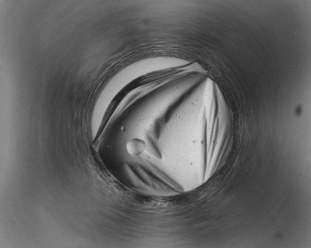 X0000115680276200912031426