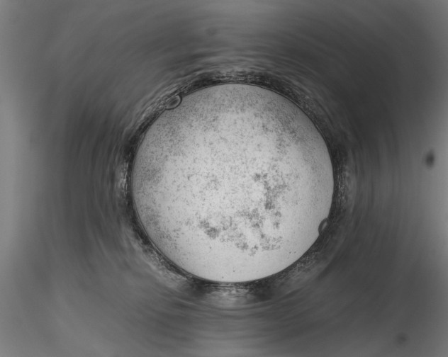 X0000115680278200912031426