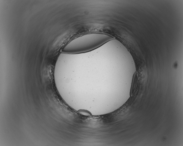 X0000115680280200912031426