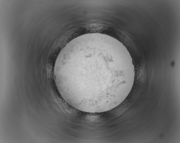 X0000115680283200912031426