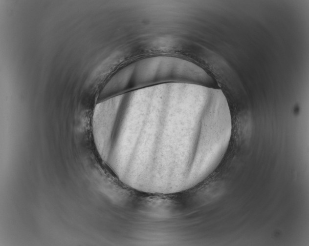 X0000115680284200912031426