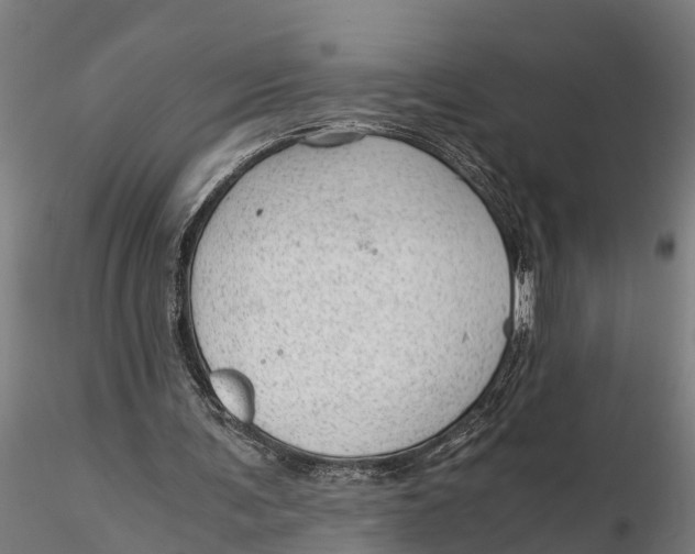 X0000115680291200912031425