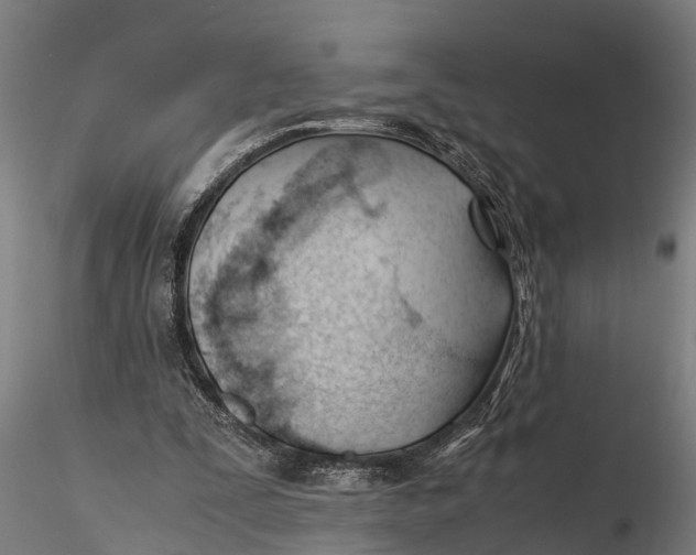 X0000115680295200912031425