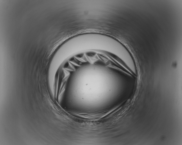 X0000115680297200912031425