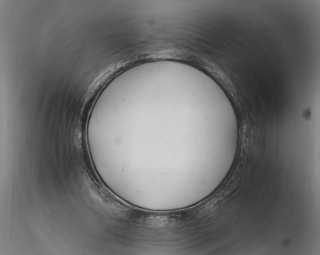 X0000115680298200912031425