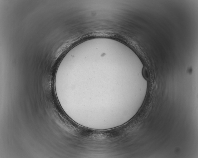 X0000115680299200912031425