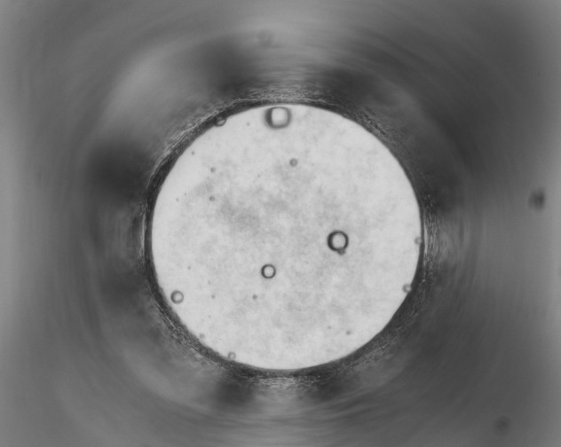 X0000115680301200912031425