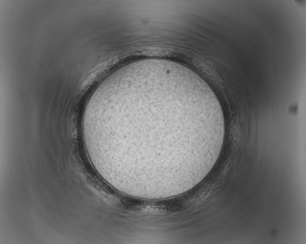 X0000115680303200912031425