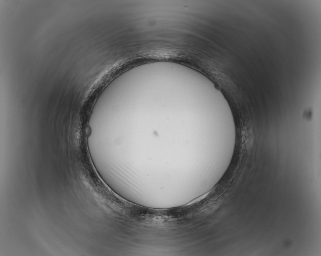 X0000115680304200912031425