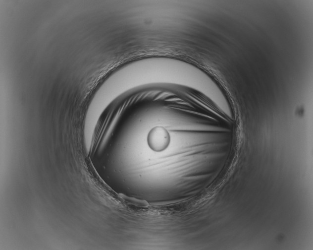 X0000115680305200912031425