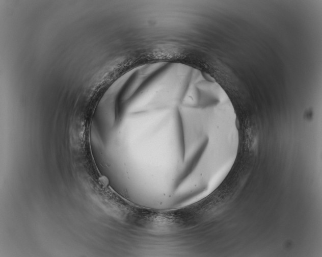 X0000115680308200912031425