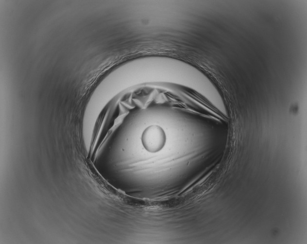 X0000115680309200912031425