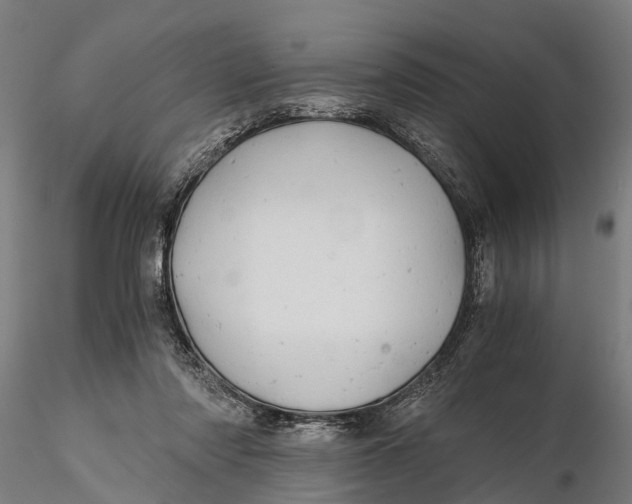 X0000115680310200912031425