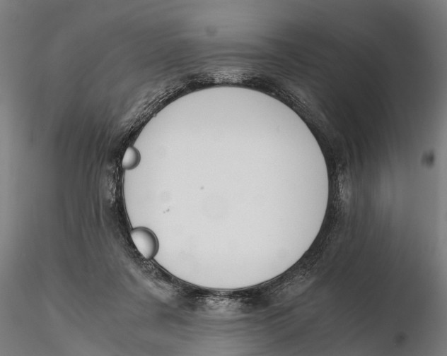 X0000115680311200912031425